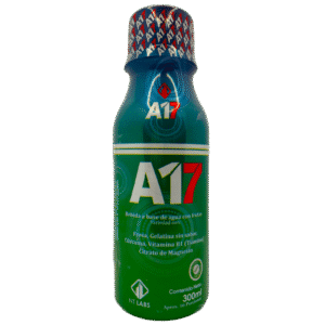 A17_saludsabor.com